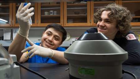 Two Bradley University students working with lab equipment in a biology lab.